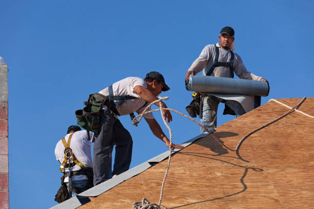 Best Metal Roofing Contractor  in Potomac Heights, MD
