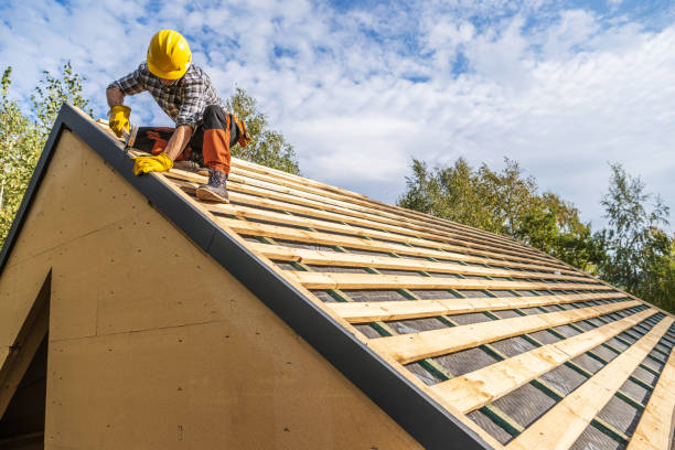 Best Roof Maintenance Services  in Potomac Heights, MD