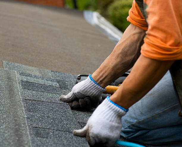 Best Roof Waterproofing Services  in Potomac Heights, MD