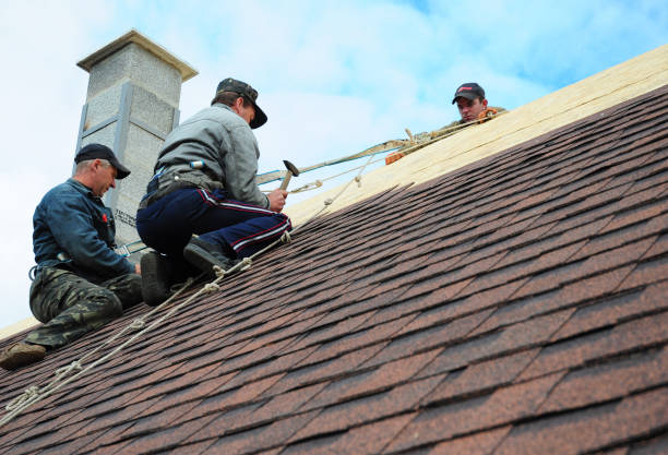 Quick and Trustworthy Emergency Roof Repair Services in Potomac Heights, MD